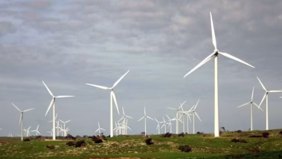 900 megawatt Robbins Island Wind project
