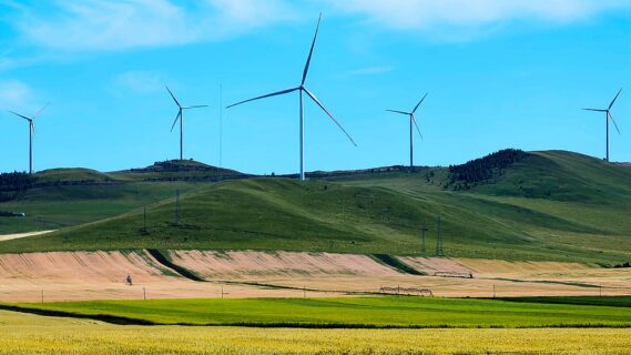 China's 779.5MW Onshore Wind Procurement: Project Overview and Bid Updates