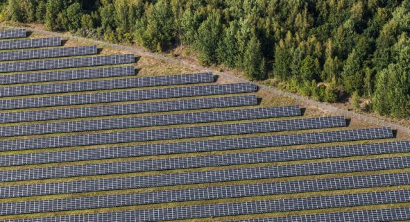 Pecan Prairie Solar Facility Remains Under Construction in Leon County