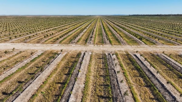 Apple New Solar Renewable Energy and Conservation Efforts Target Australia and New Zealand