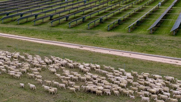 Blind Creek Solar Farm and Battery Storage Project Octopus Australia