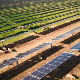 $134M NEM-First Solar-Battery Hybrid Project Hits Construction Milestone