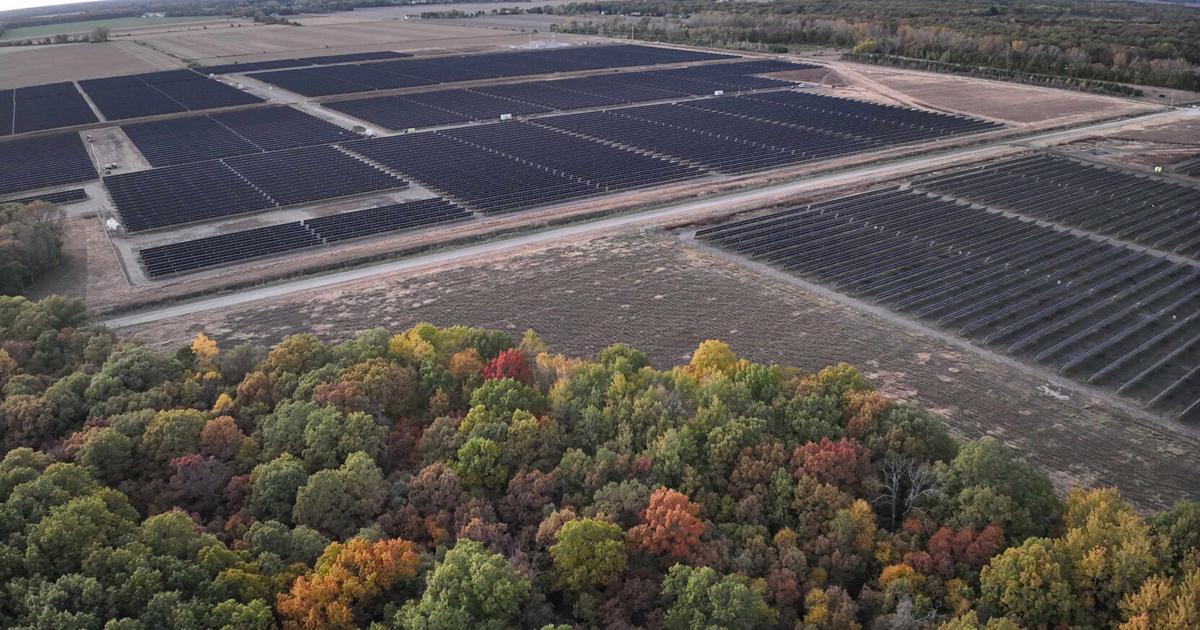 Zelestra Closes $600 Million Green Financing for 441 MWdc Texas Solar Portfolio as Construction Advances on Meta-Backed Echols Grove and Cedar Range Projects