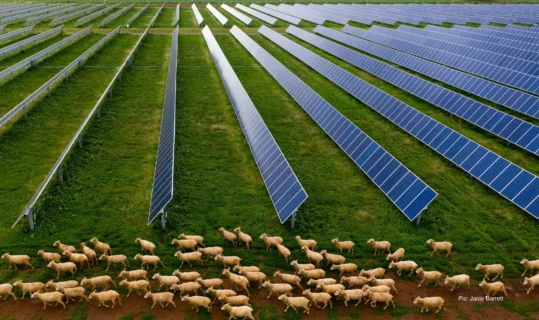 Blind Creek Solar Farm Project