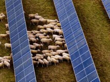 Blind Creek solar farm and battery storage project in New South Wales (NSW), Australia