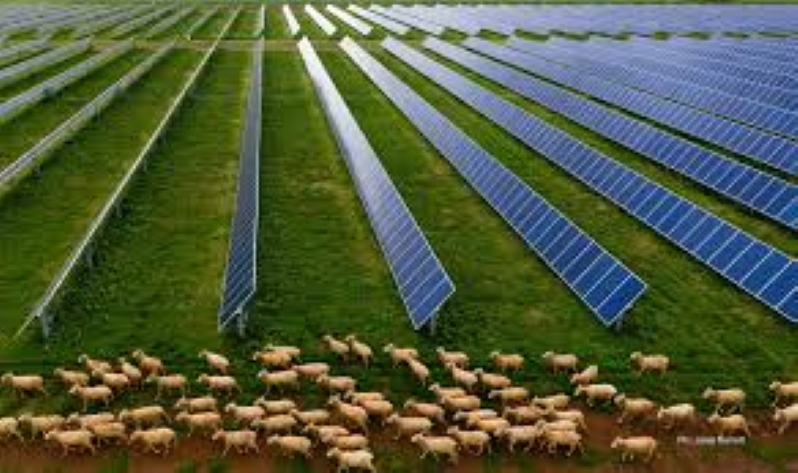 Blind Creek solar farm and battery storage project in New South Wales (NSW), Australia