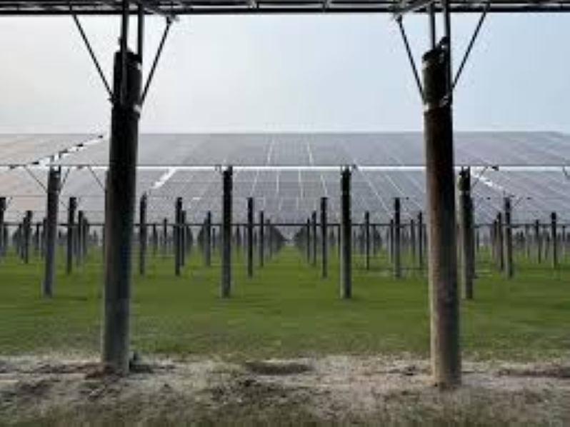 Largest solar farm in Bangladesh to be constructed in Rampal, expects completion by 2030