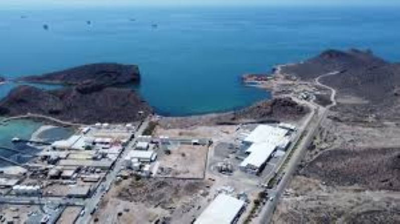 AMIGO LNG project off Mexico secures 20-year LNG supply with UAE’s IRH, first export expected in 2028