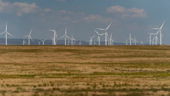 Onshore Wind Projects Halt in Texas
