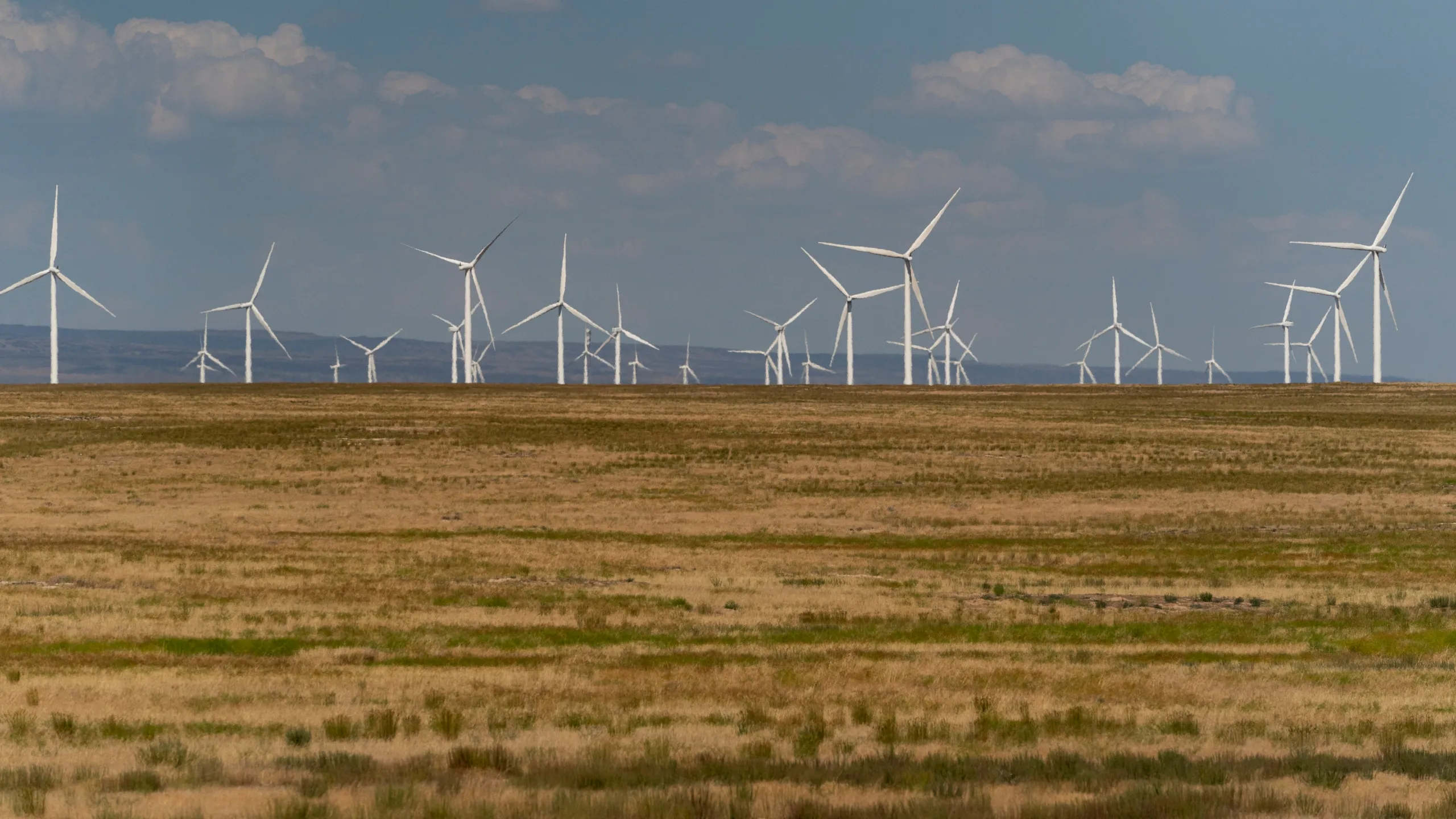 Onshore Wind Projects Halt in Texas