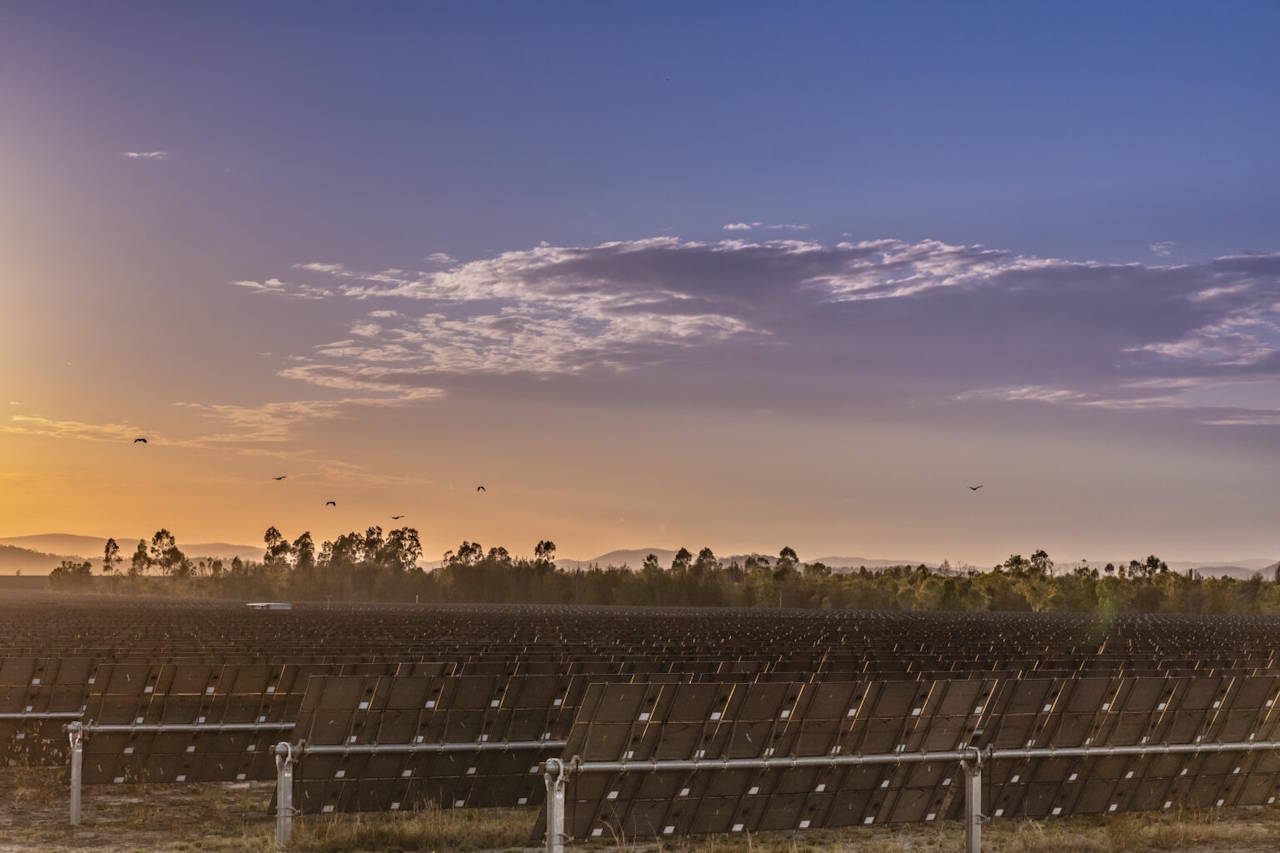 Bulli Creek Solar-Battery Project Reshapes $2.5bn Construction Strategy with Major Battery Rollout