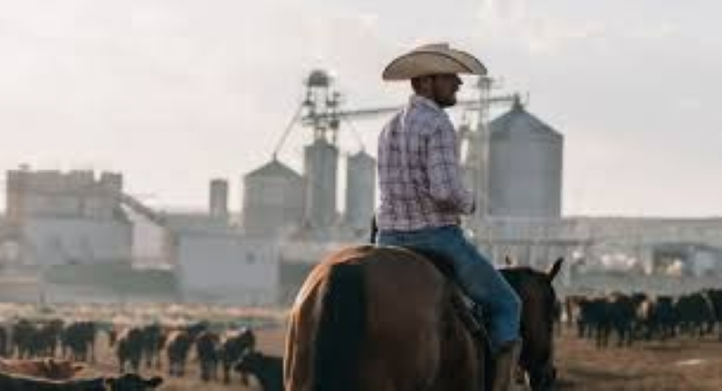 Adams Land & Cattle RNG Facility Starts Construction as Ameresco Aims to Support Local Community