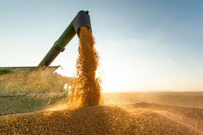 Incobrasa Opens $250 Million Soybean Processing Plant in Gilman Illinois