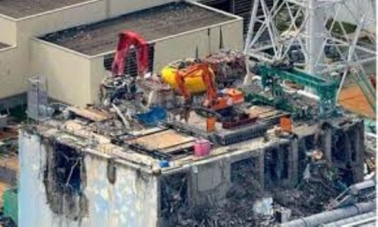 Fukushima Daiichi unit 1 reactor debris removal starts ahead of fuel transfer
