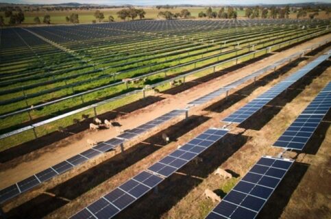 Agrivoltaic solar farm installation