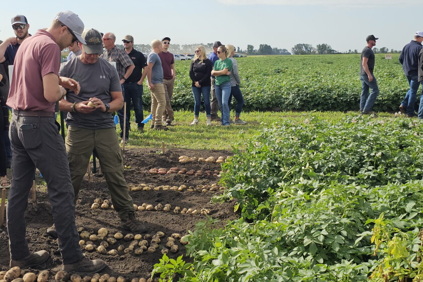 Agristo Grand Forks Potato Plant Breaks Ground on US$1 Billion Investment