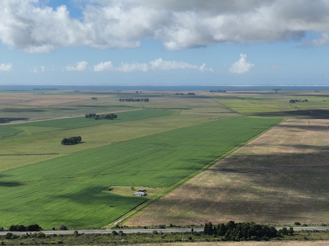 Statkraft Commits to 280 MW Gran Sul Wind Project in Southern Brazil