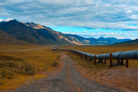  The proposed pipeline would move about 500,000 barrels of oil per day for domestic use and export, with the potential to expand to 800,000 barrels per day.