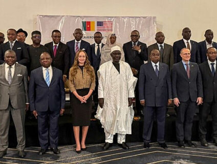 The project part of Cameroon's efforts to attract greater U.S. investment into the technology sector.