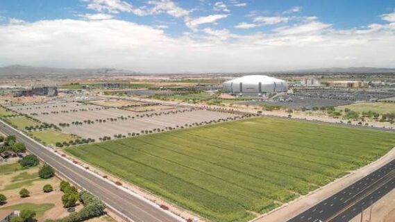 PALO District Stadium Development
