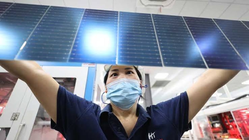 A technician holding a solar panel strip