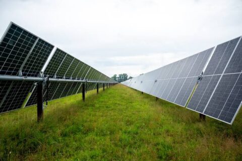 The solar field, one of the largest in the world, will be an agrivoltaic facility.